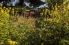 Bienenstöcke in Wildblumenwiese
